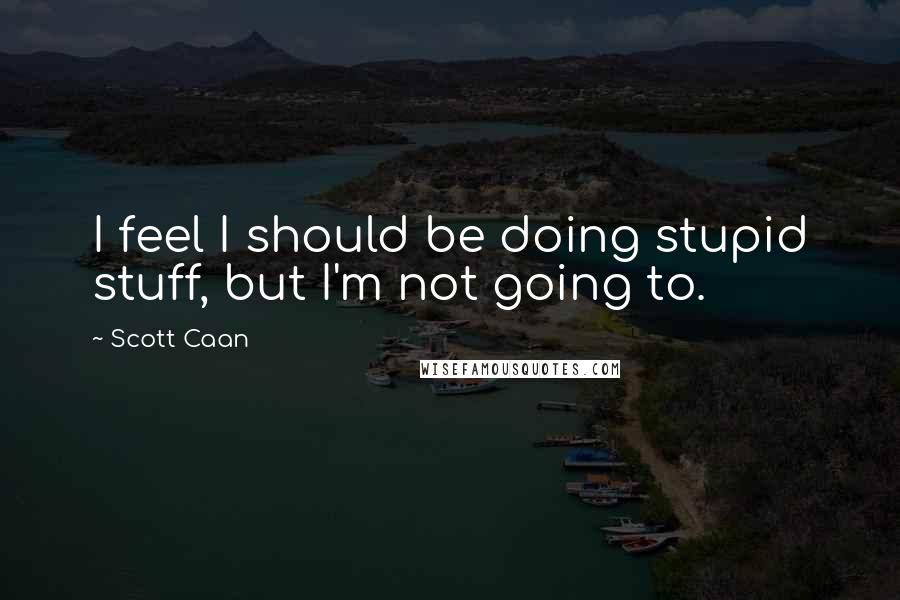 Scott Caan Quotes: I feel I should be doing stupid stuff, but I'm not going to.