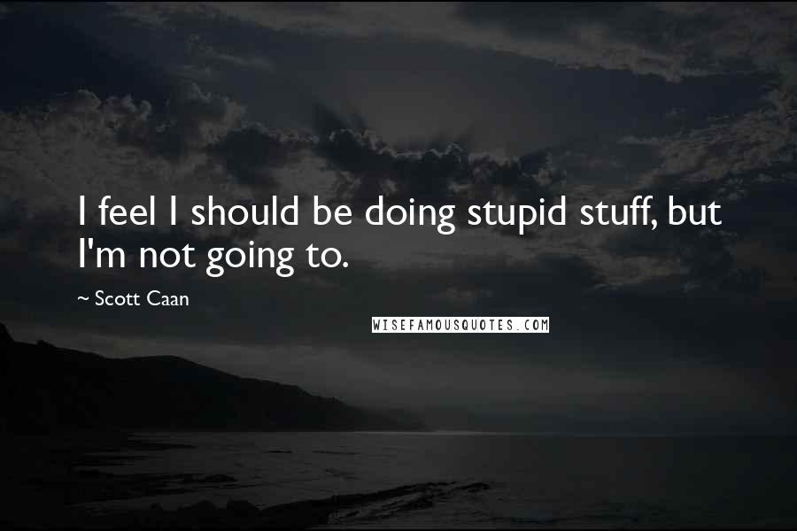 Scott Caan Quotes: I feel I should be doing stupid stuff, but I'm not going to.