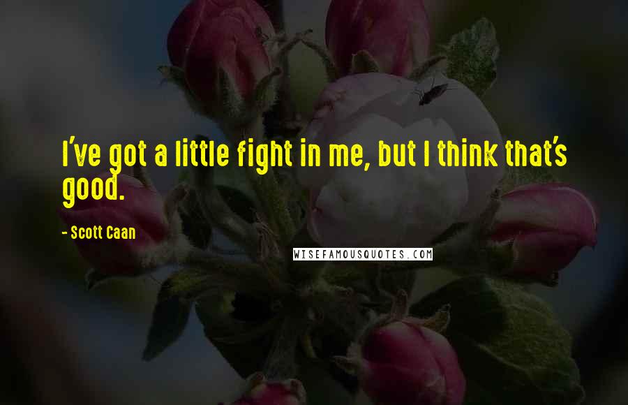 Scott Caan Quotes: I've got a little fight in me, but I think that's good.