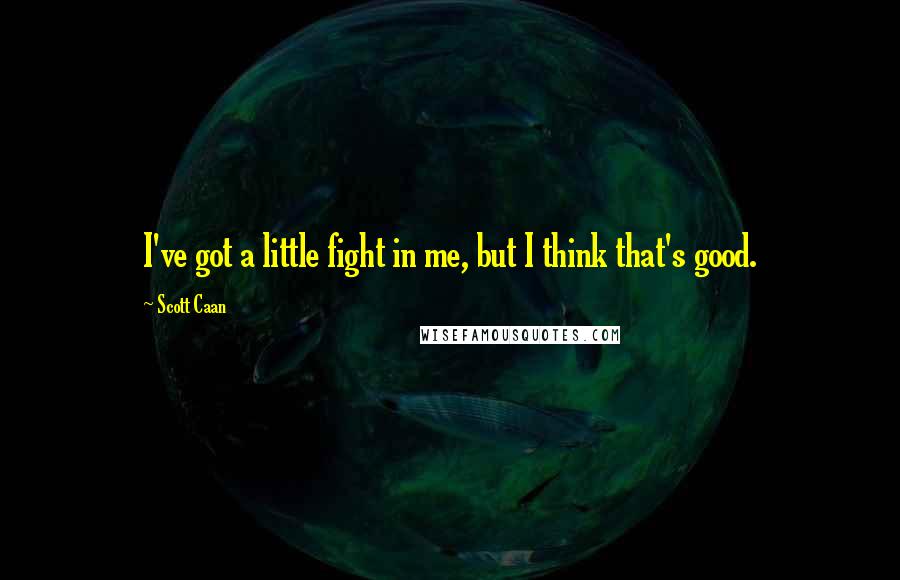 Scott Caan Quotes: I've got a little fight in me, but I think that's good.