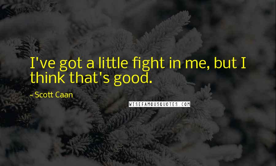 Scott Caan Quotes: I've got a little fight in me, but I think that's good.