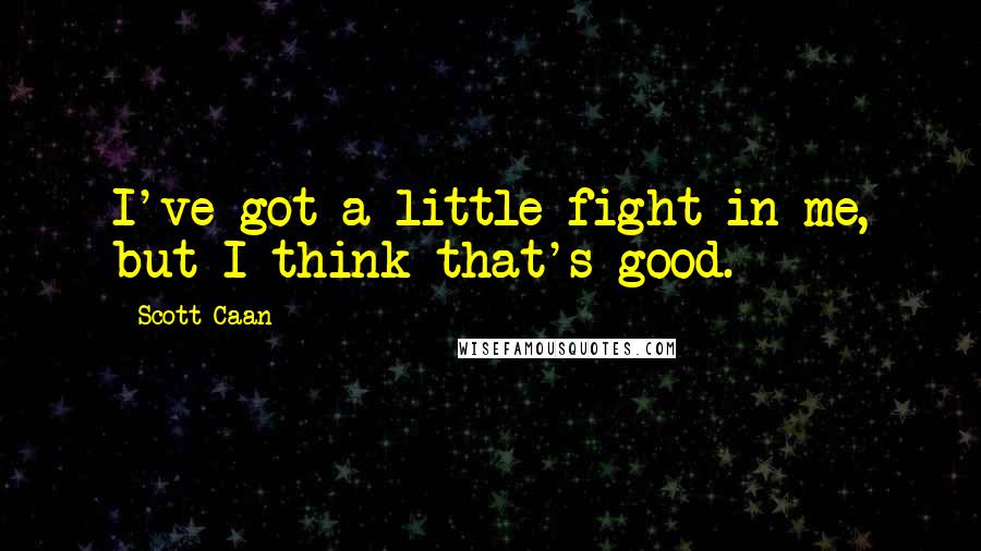 Scott Caan Quotes: I've got a little fight in me, but I think that's good.
