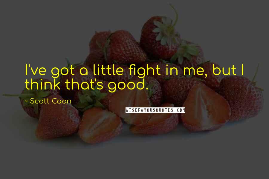 Scott Caan Quotes: I've got a little fight in me, but I think that's good.