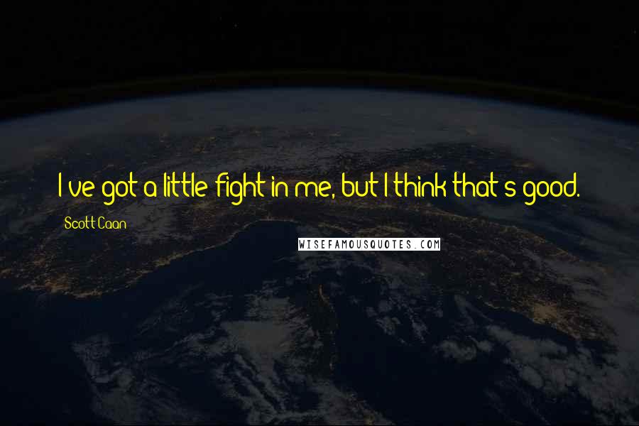 Scott Caan Quotes: I've got a little fight in me, but I think that's good.