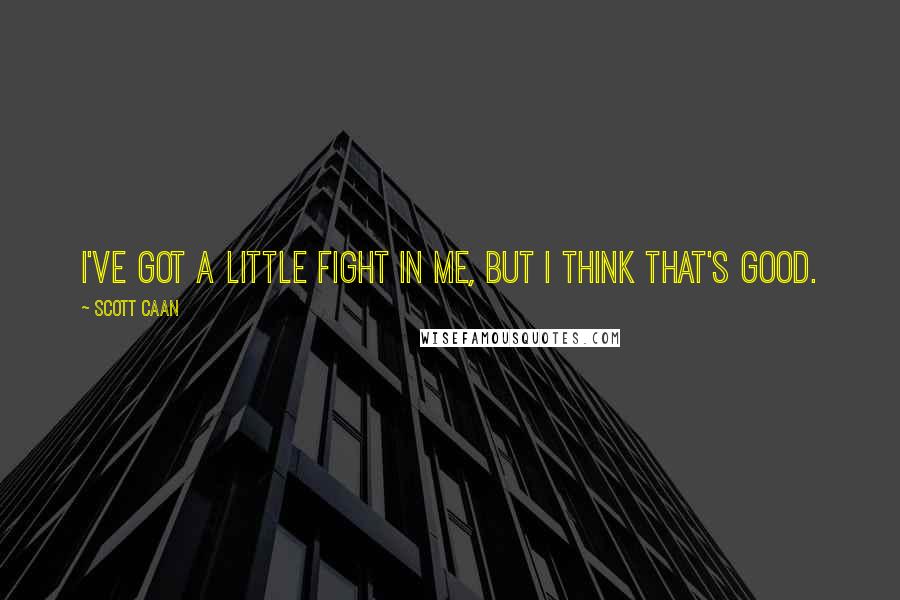 Scott Caan Quotes: I've got a little fight in me, but I think that's good.