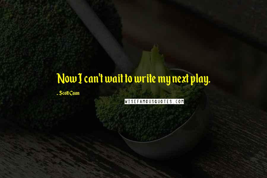 Scott Caan Quotes: Now I can't wait to write my next play.