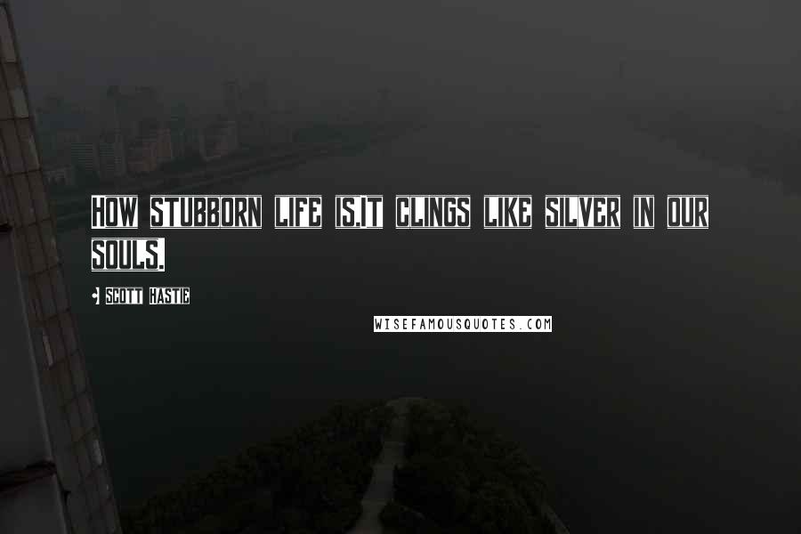 Scott Hastie Quotes: How stubborn life is,It clings like silver in our souls.