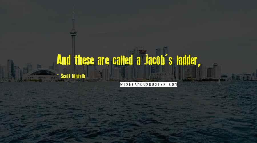 Scott Hildreth Quotes: And these are called a Jacob's ladder,
