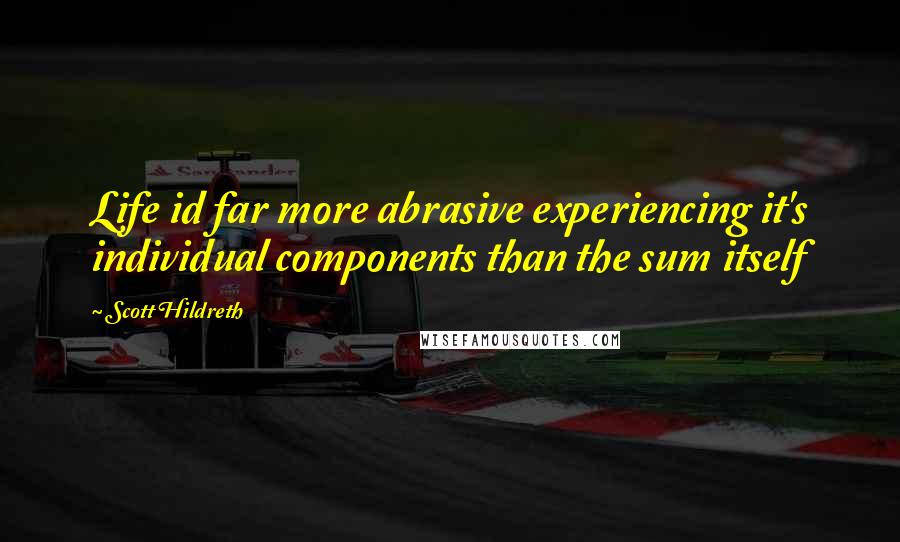 Scott Hildreth Quotes: Life id far more abrasive experiencing it's individual components than the sum itself