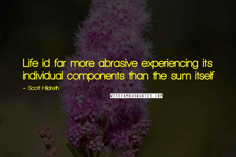 Scott Hildreth Quotes: Life id far more abrasive experiencing it's individual components than the sum itself