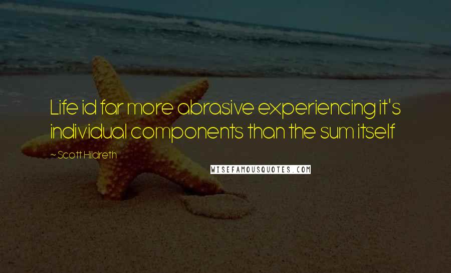 Scott Hildreth Quotes: Life id far more abrasive experiencing it's individual components than the sum itself