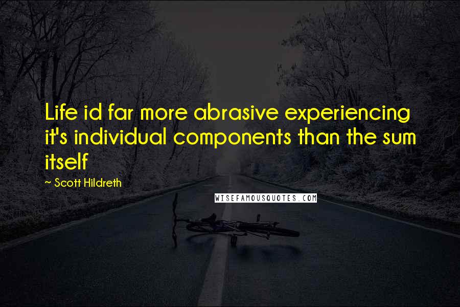 Scott Hildreth Quotes: Life id far more abrasive experiencing it's individual components than the sum itself