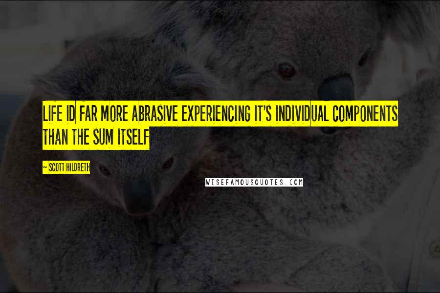 Scott Hildreth Quotes: Life id far more abrasive experiencing it's individual components than the sum itself