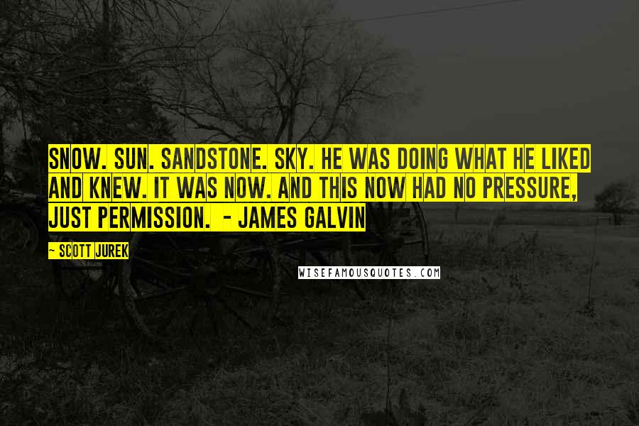 Scott Jurek Quotes: Snow. Sun. Sandstone. Sky. He was doing what he liked and knew. It was now. And this now had no pressure, just permission. - James Galvin