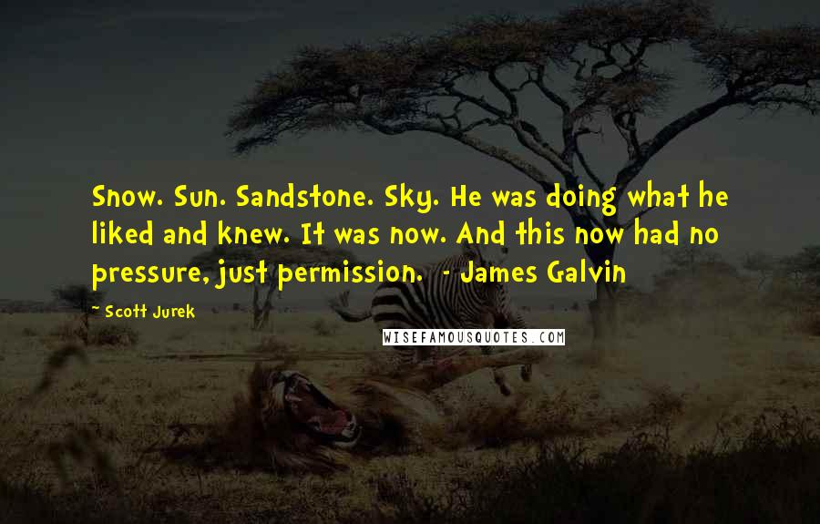 Scott Jurek Quotes: Snow. Sun. Sandstone. Sky. He was doing what he liked and knew. It was now. And this now had no pressure, just permission. - James Galvin