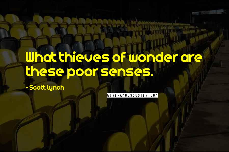Scott Lynch Quotes: What thieves of wonder are these poor senses.
