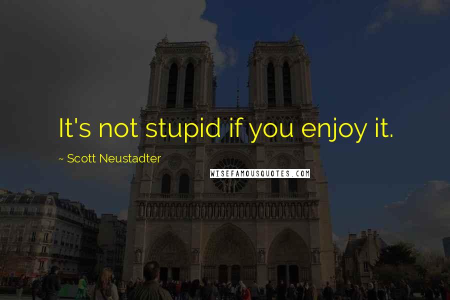 Scott Neustadter Quotes: It's not stupid if you enjoy it.