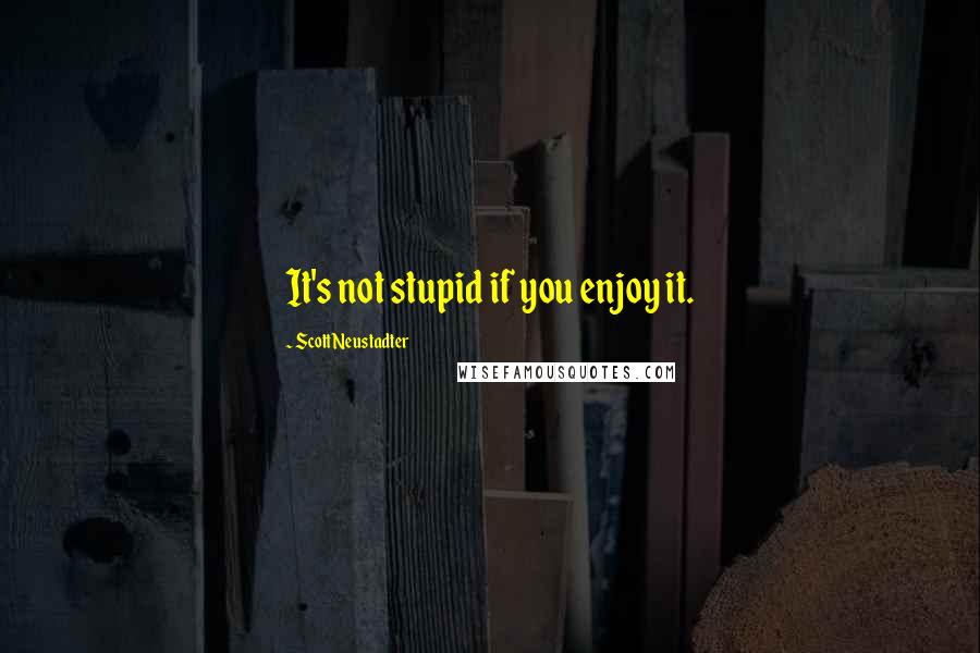 Scott Neustadter Quotes: It's not stupid if you enjoy it.