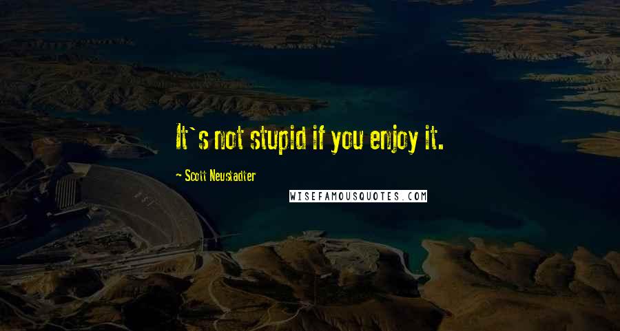 Scott Neustadter Quotes: It's not stupid if you enjoy it.