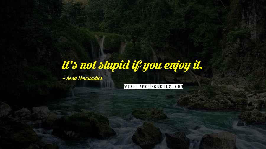 Scott Neustadter Quotes: It's not stupid if you enjoy it.