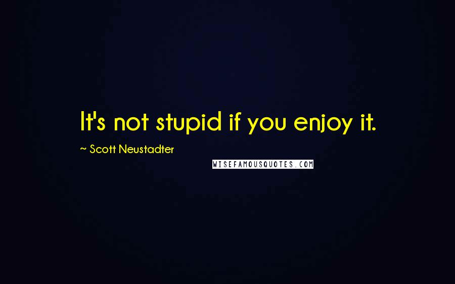 Scott Neustadter Quotes: It's not stupid if you enjoy it.