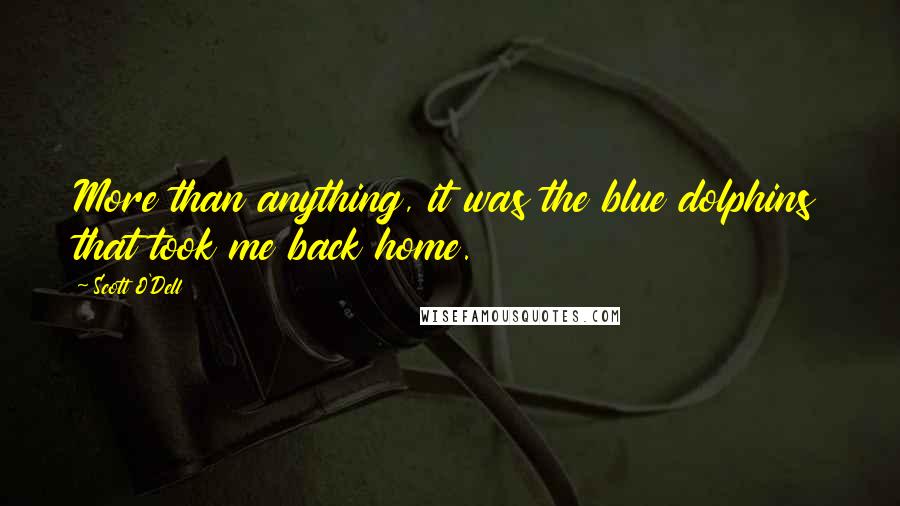 Scott O'Dell Quotes: More than anything, it was the blue dolphins that took me back home.