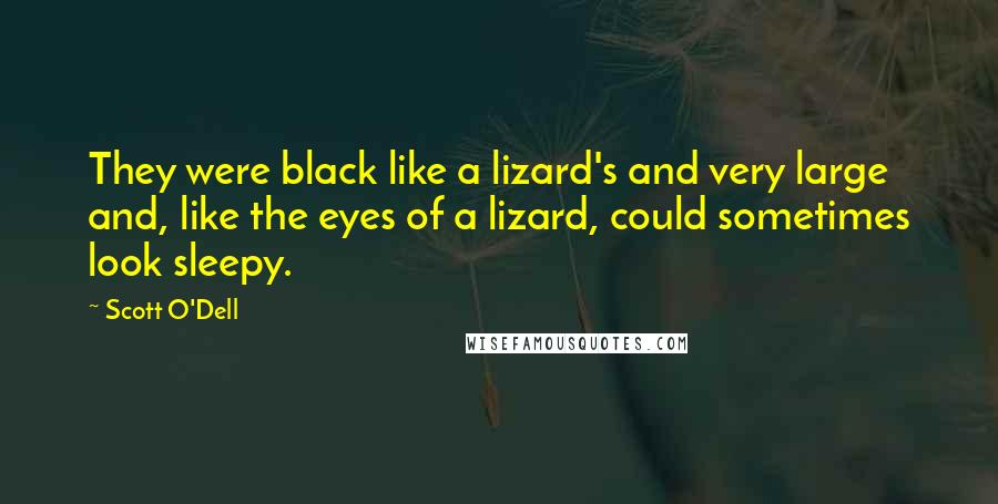 Scott O'Dell Quotes: They were black like a lizard's and very large and, like the eyes of a lizard, could sometimes look sleepy.