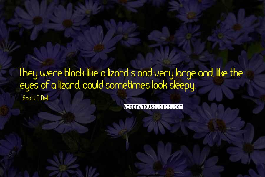 Scott O'Dell Quotes: They were black like a lizard's and very large and, like the eyes of a lizard, could sometimes look sleepy.