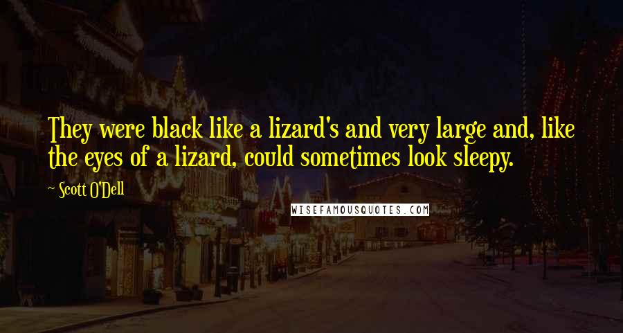 Scott O'Dell Quotes: They were black like a lizard's and very large and, like the eyes of a lizard, could sometimes look sleepy.