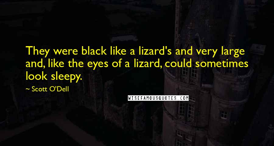 Scott O'Dell Quotes: They were black like a lizard's and very large and, like the eyes of a lizard, could sometimes look sleepy.