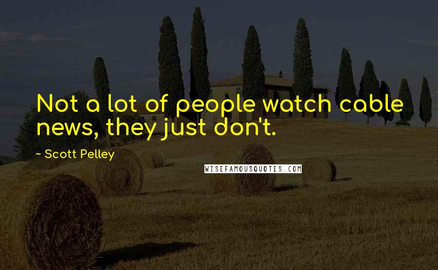 Scott Pelley Quotes: Not a lot of people watch cable news, they just don't.