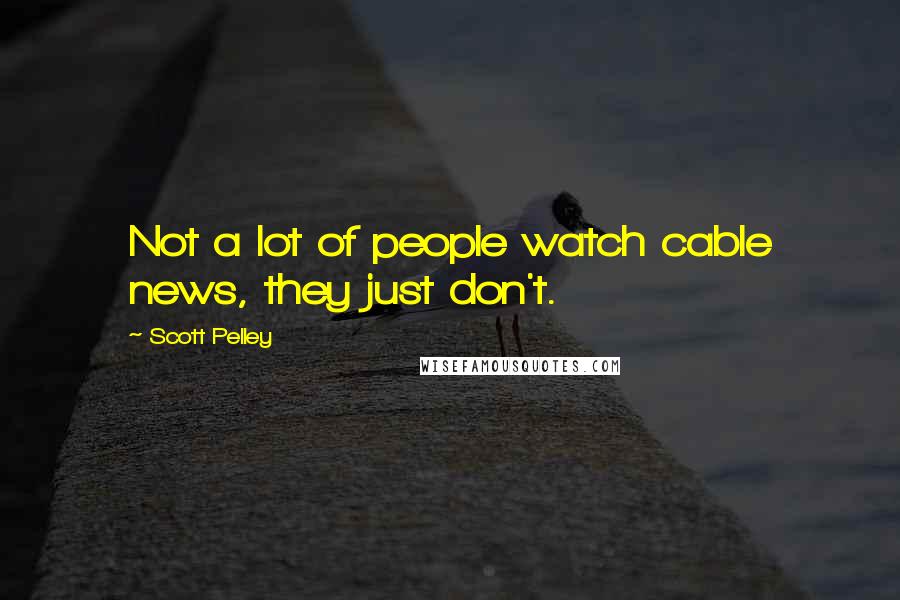 Scott Pelley Quotes: Not a lot of people watch cable news, they just don't.