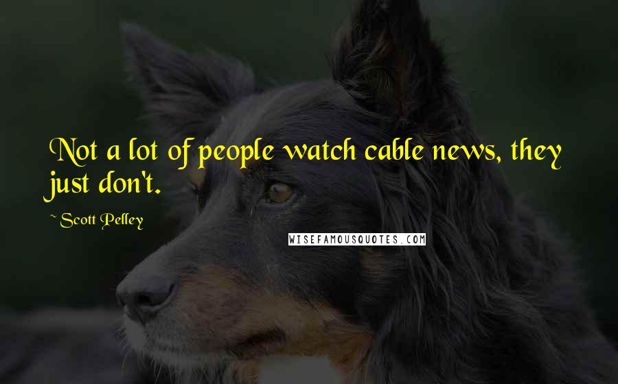 Scott Pelley Quotes: Not a lot of people watch cable news, they just don't.