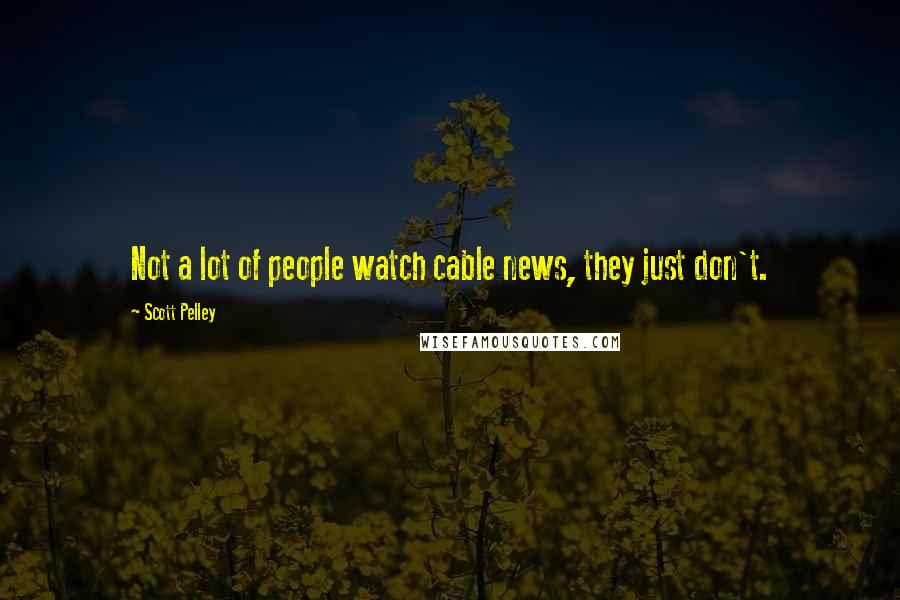 Scott Pelley Quotes: Not a lot of people watch cable news, they just don't.