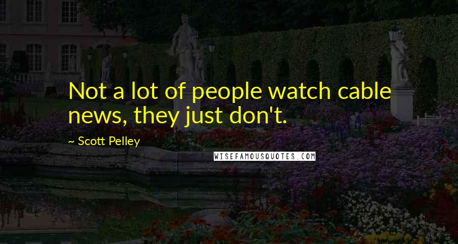 Scott Pelley Quotes: Not a lot of people watch cable news, they just don't.