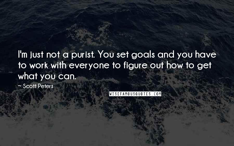 Scott Peters Quotes: I'm just not a purist. You set goals and you have to work with everyone to figure out how to get what you can.