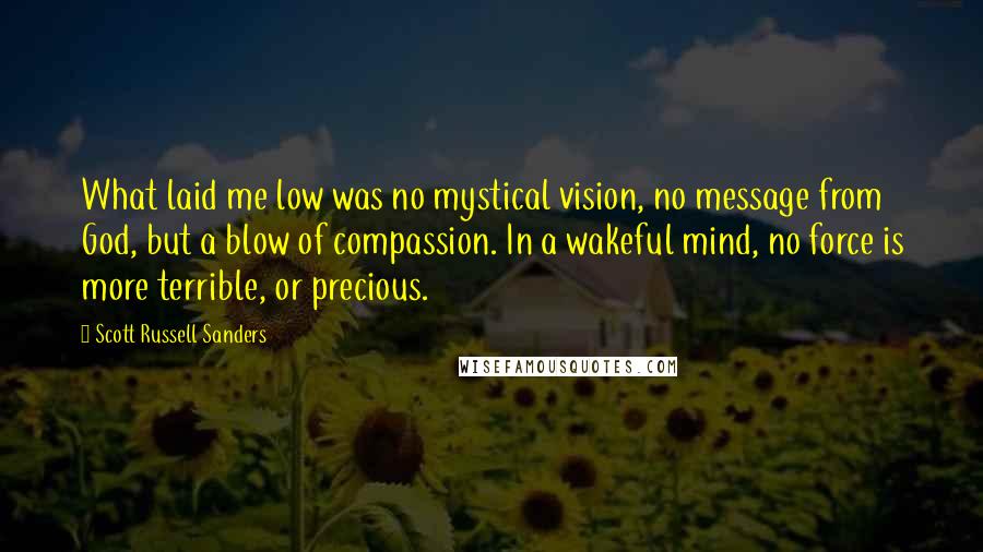 Scott Russell Sanders Quotes: What laid me low was no mystical vision, no message from God, but a blow of compassion. In a wakeful mind, no force is more terrible, or precious.