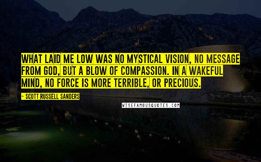 Scott Russell Sanders Quotes: What laid me low was no mystical vision, no message from God, but a blow of compassion. In a wakeful mind, no force is more terrible, or precious.