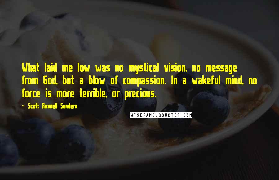 Scott Russell Sanders Quotes: What laid me low was no mystical vision, no message from God, but a blow of compassion. In a wakeful mind, no force is more terrible, or precious.