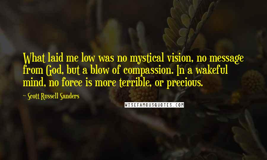 Scott Russell Sanders Quotes: What laid me low was no mystical vision, no message from God, but a blow of compassion. In a wakeful mind, no force is more terrible, or precious.