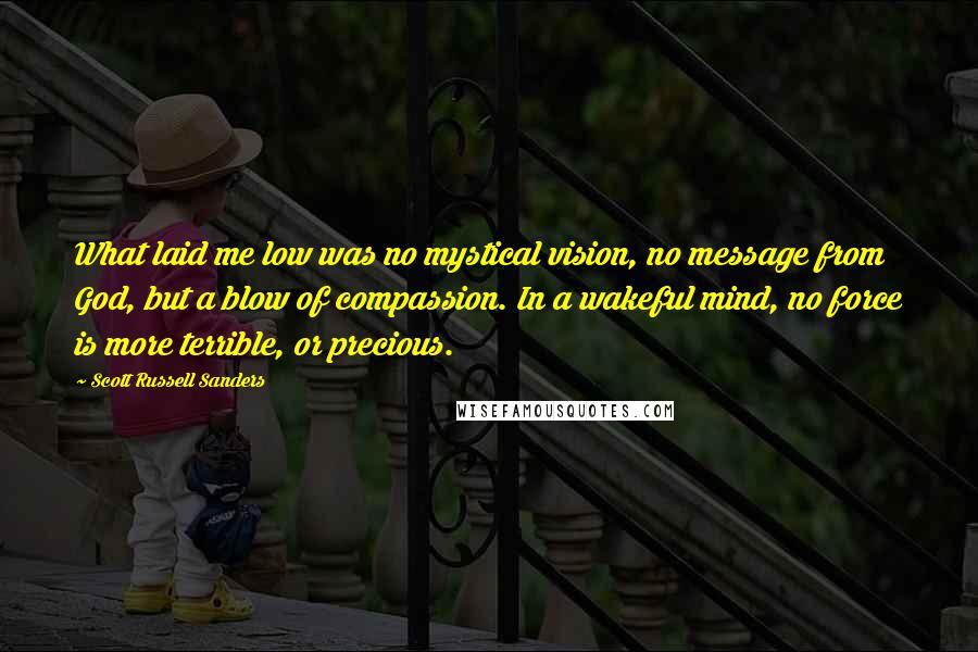 Scott Russell Sanders Quotes: What laid me low was no mystical vision, no message from God, but a blow of compassion. In a wakeful mind, no force is more terrible, or precious.