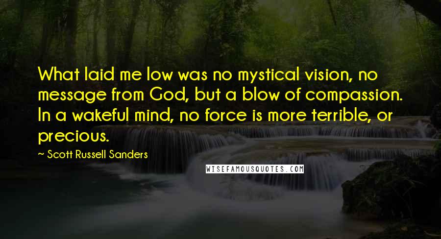 Scott Russell Sanders Quotes: What laid me low was no mystical vision, no message from God, but a blow of compassion. In a wakeful mind, no force is more terrible, or precious.