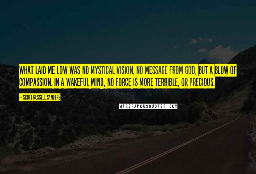 Scott Russell Sanders Quotes: What laid me low was no mystical vision, no message from God, but a blow of compassion. In a wakeful mind, no force is more terrible, or precious.