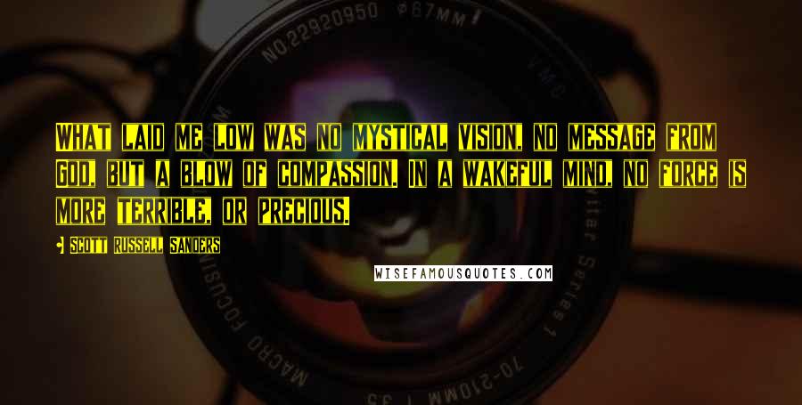 Scott Russell Sanders Quotes: What laid me low was no mystical vision, no message from God, but a blow of compassion. In a wakeful mind, no force is more terrible, or precious.