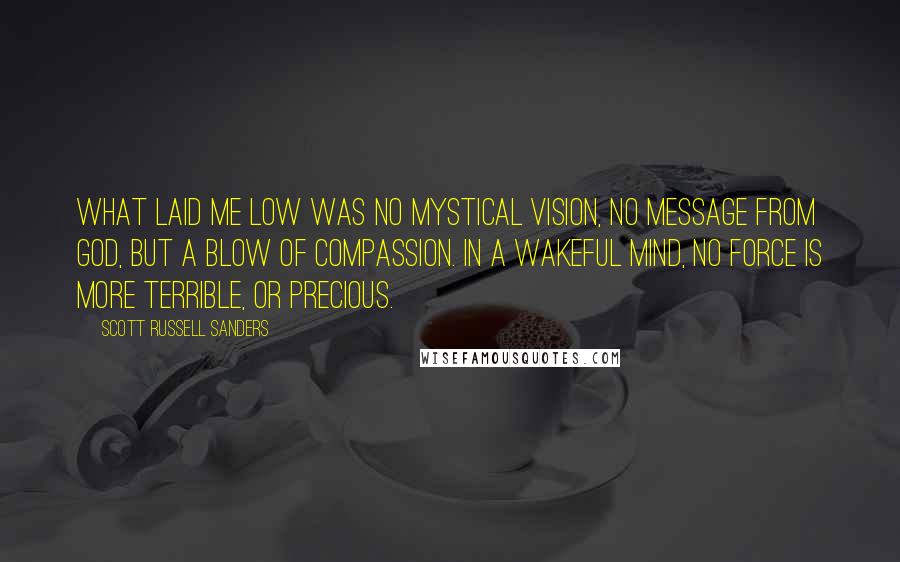 Scott Russell Sanders Quotes: What laid me low was no mystical vision, no message from God, but a blow of compassion. In a wakeful mind, no force is more terrible, or precious.
