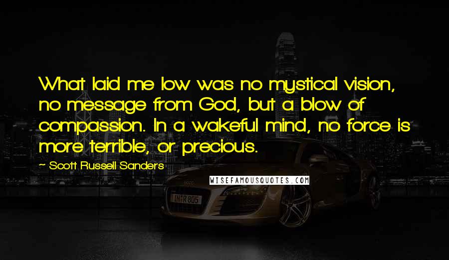 Scott Russell Sanders Quotes: What laid me low was no mystical vision, no message from God, but a blow of compassion. In a wakeful mind, no force is more terrible, or precious.