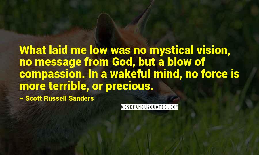 Scott Russell Sanders Quotes: What laid me low was no mystical vision, no message from God, but a blow of compassion. In a wakeful mind, no force is more terrible, or precious.