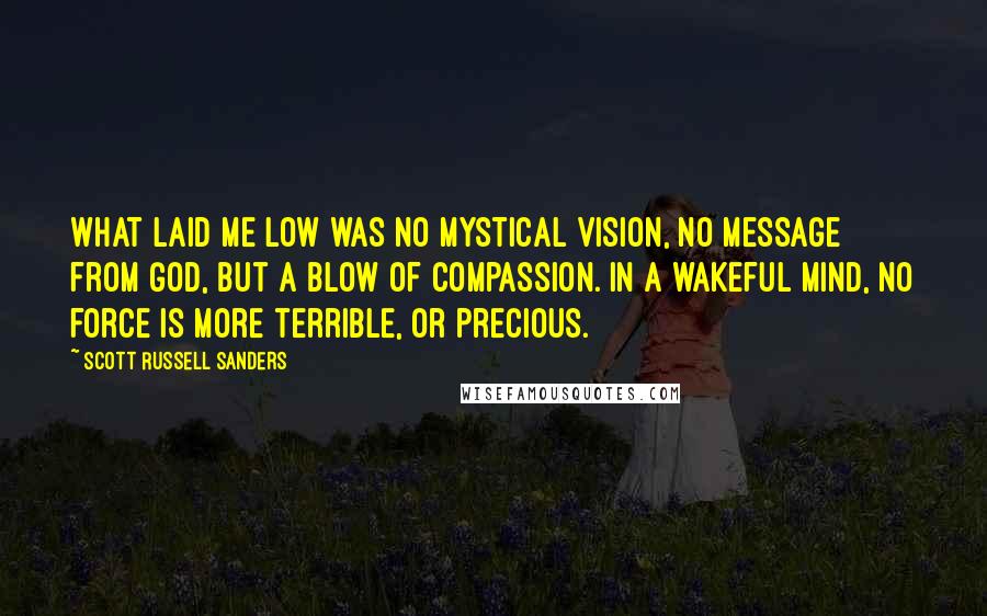 Scott Russell Sanders Quotes: What laid me low was no mystical vision, no message from God, but a blow of compassion. In a wakeful mind, no force is more terrible, or precious.