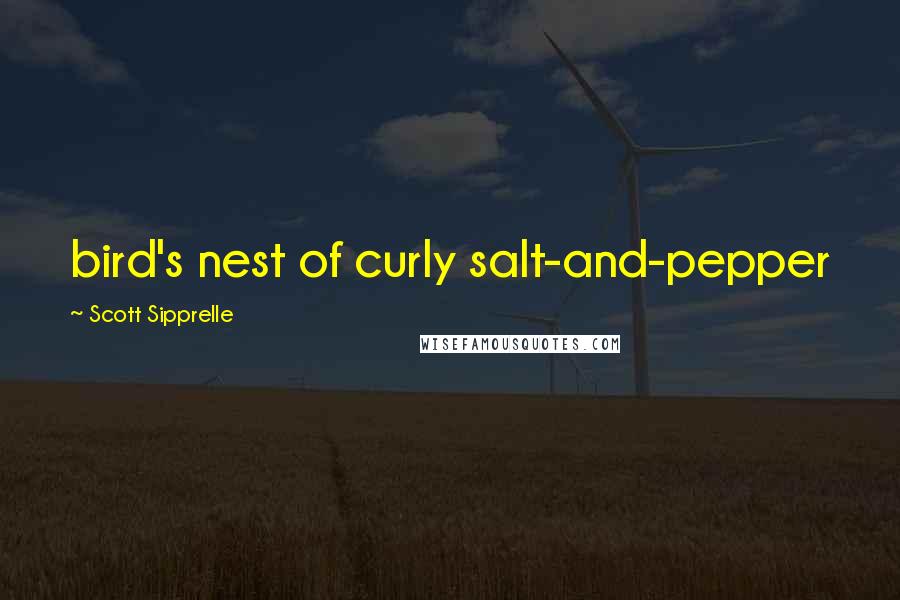 Scott Sipprelle Quotes: bird's nest of curly salt-and-pepper