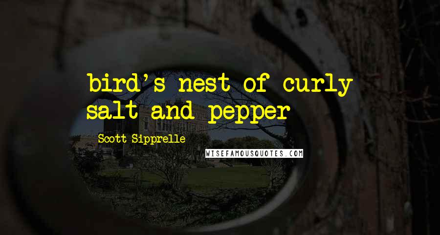 Scott Sipprelle Quotes: bird's nest of curly salt-and-pepper